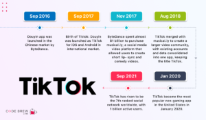 TikTok Business Model: How TikTok Can Generate Revenue For Your Business?